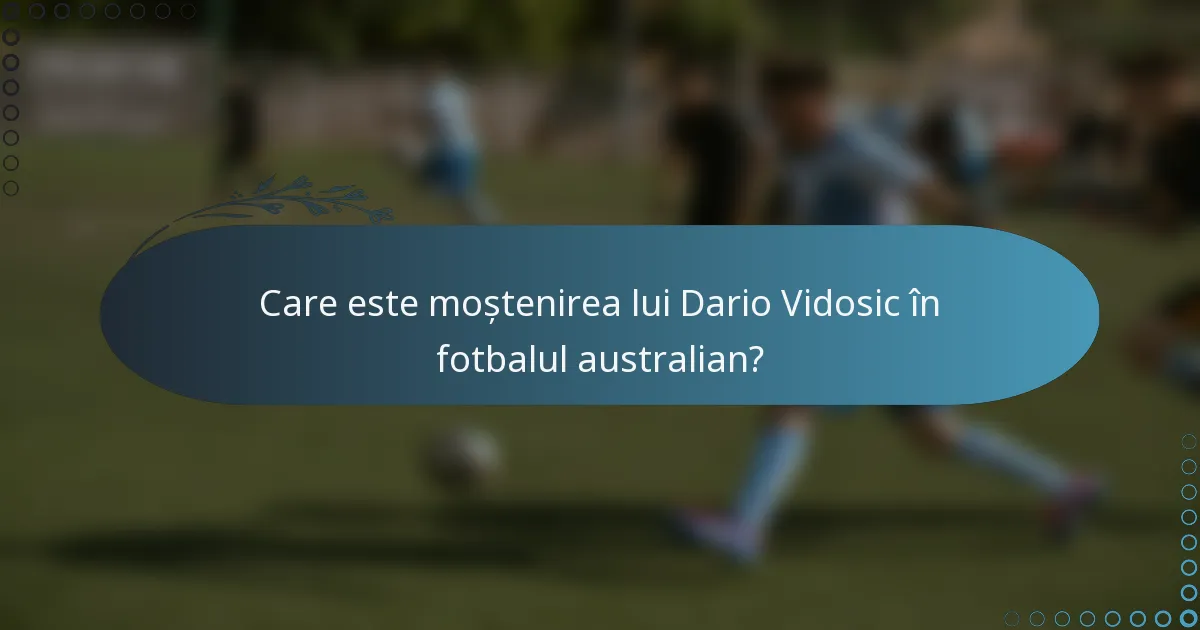 Care este moștenirea lui Dario Vidosic în fotbalul australian?