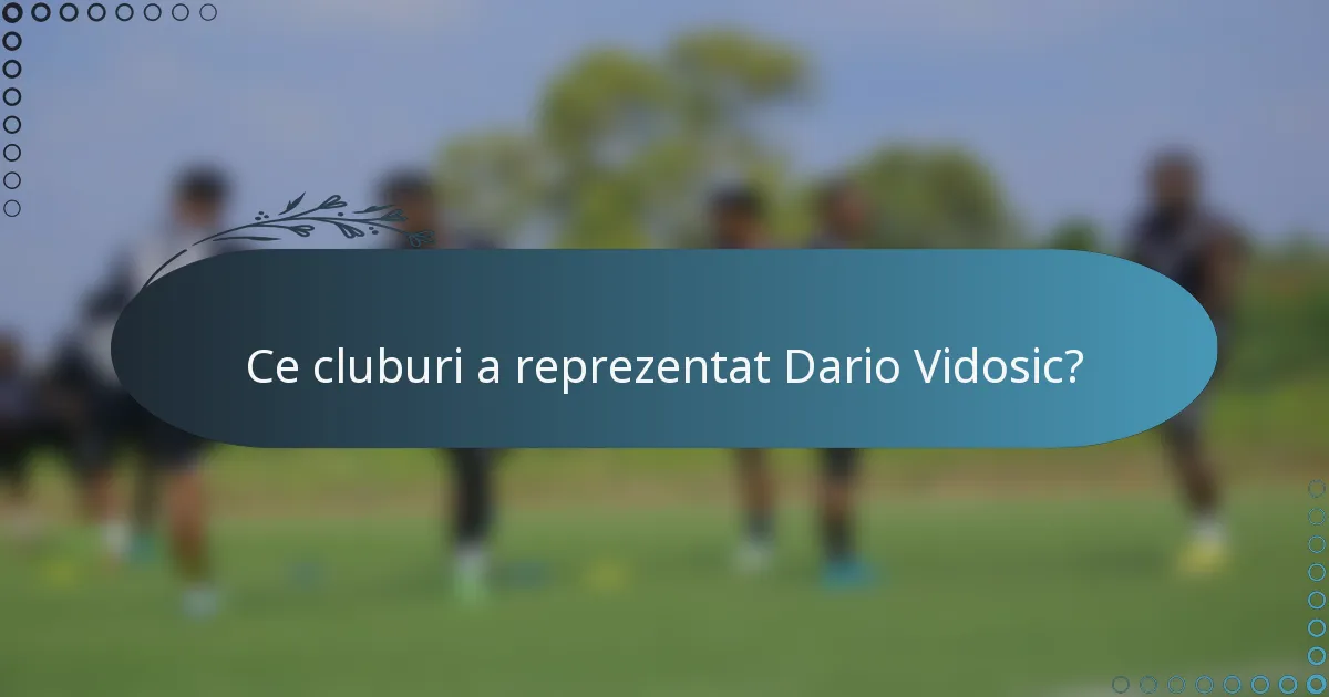 Ce cluburi a reprezentat Dario Vidosic?