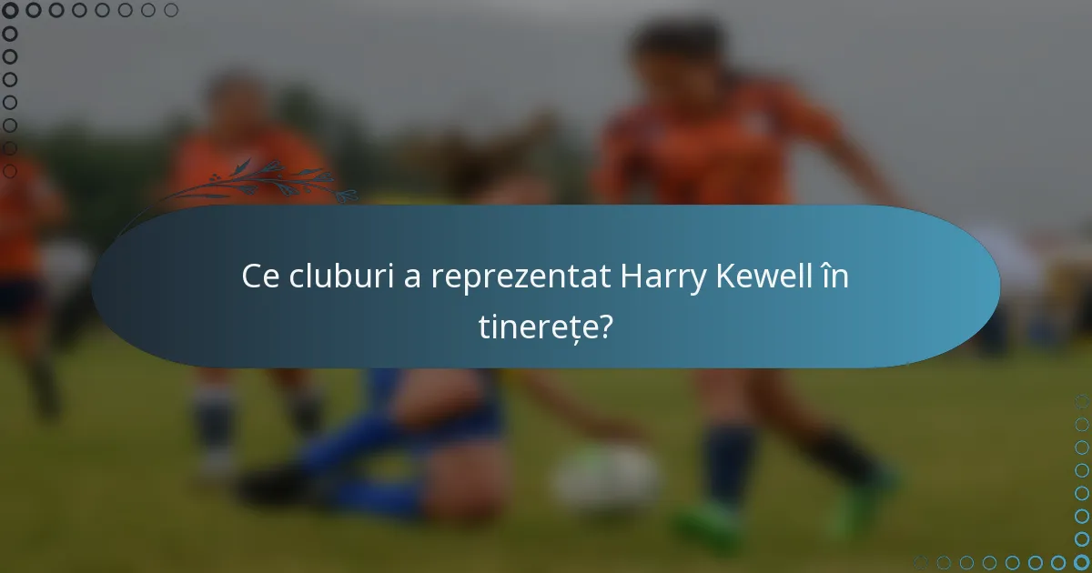 Ce cluburi a reprezentat Harry Kewell în tinerețe?