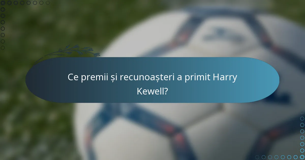 Ce premii și recunoașteri a primit Harry Kewell?