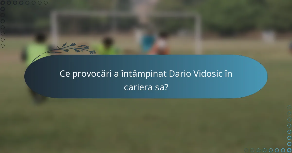 Ce provocări a întâmpinat Dario Vidosic în cariera sa?