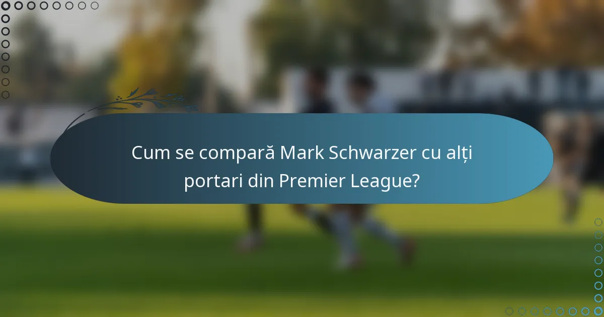 Cum se compară Mark Schwarzer cu alți portari din Premier League?